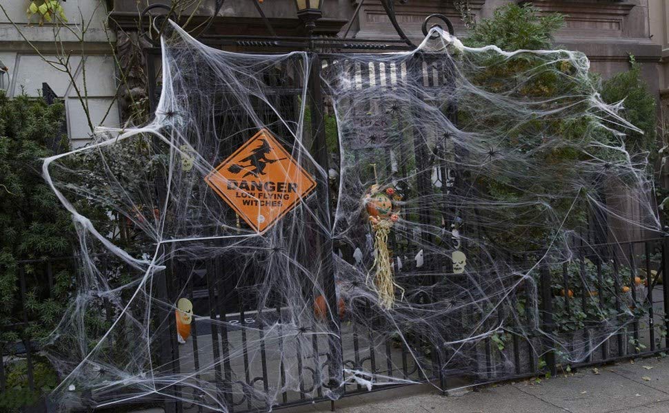 spider web decoration