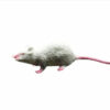 Realistic Fake Mouse - Tenebrisque