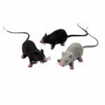 Realistic Fake Mouse - Tenebrisque