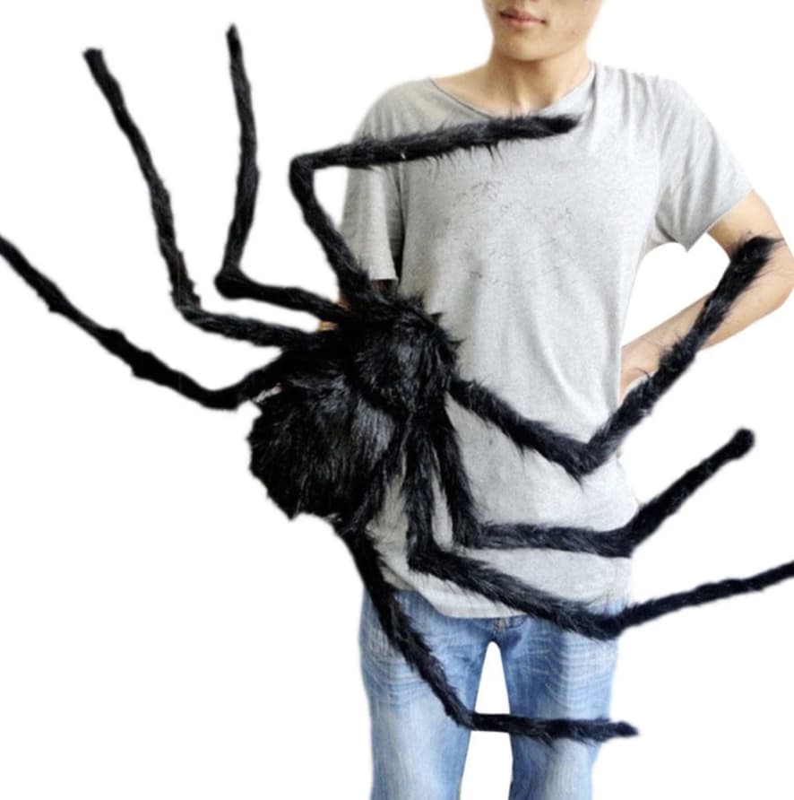 spider decoration