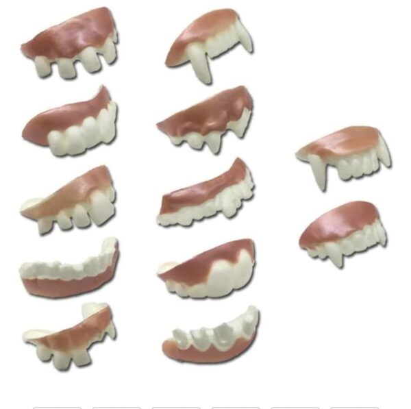 False Teeth