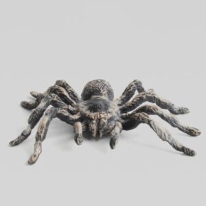 Realistic Fake Spider
