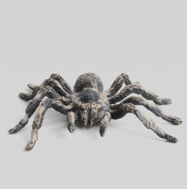 Realistic Fake Spider