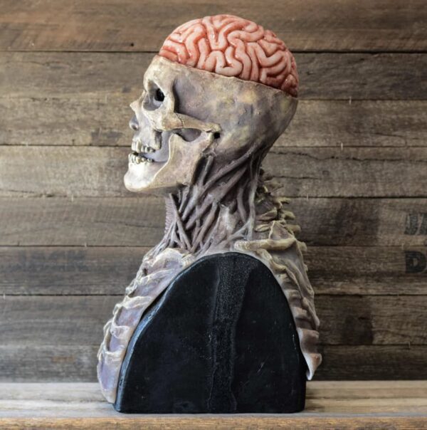 Premium Skull Mask