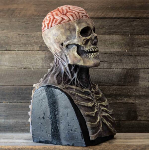 Premium Skull Mask