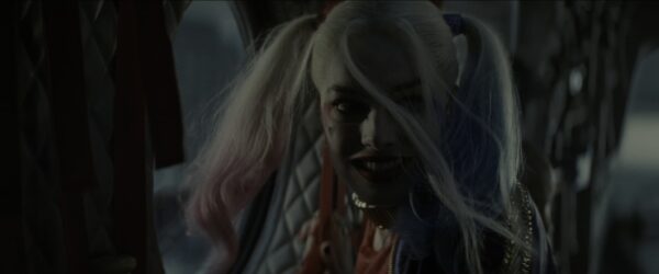 Harley Quinn Wig and Costume - Image 5