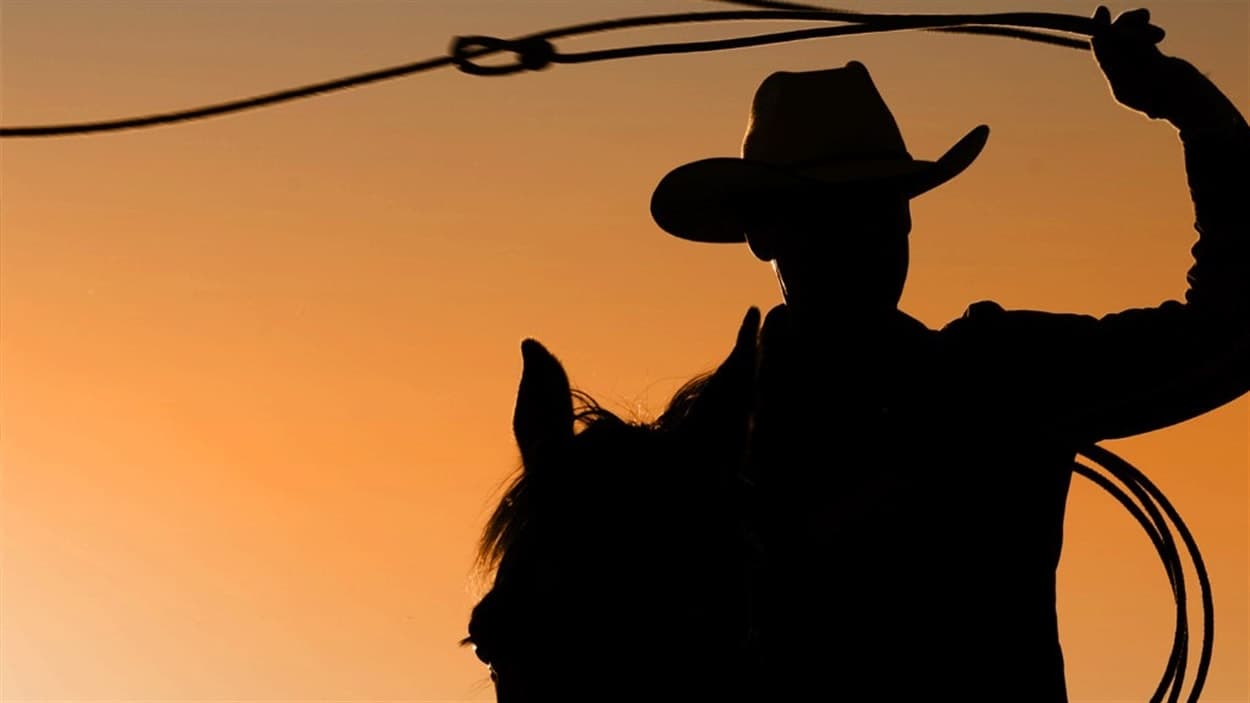 Cowboy costume