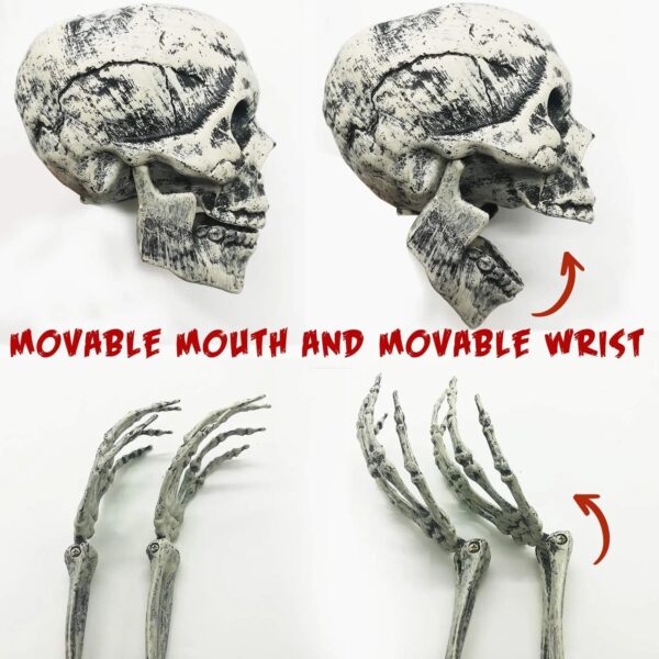 Skeleton Head and Arms