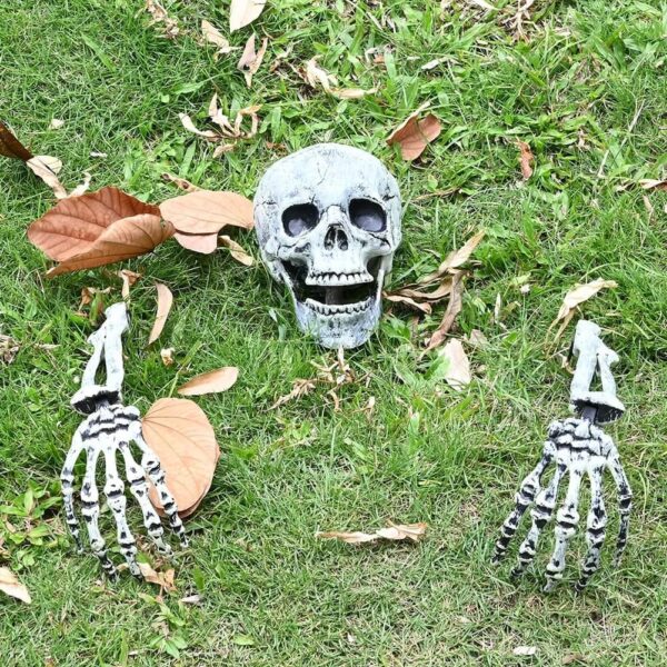 skeleton head and arms