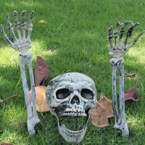 skeleton head and amrs