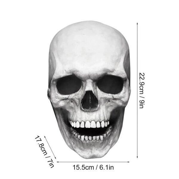 Skull mask